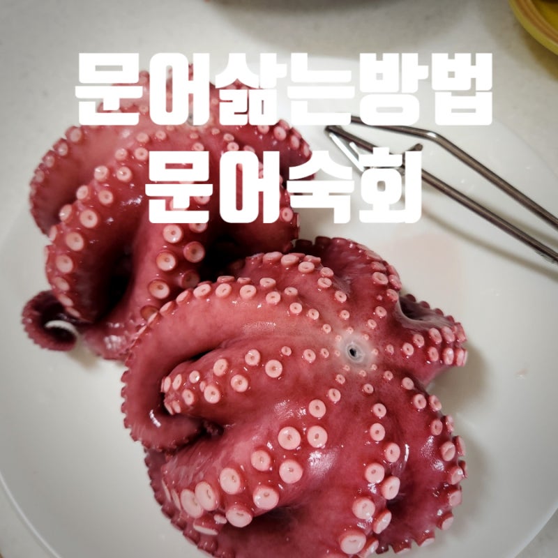 문어삶는시간 씻는방법 문어숙회 보관 내돈내산 술안주