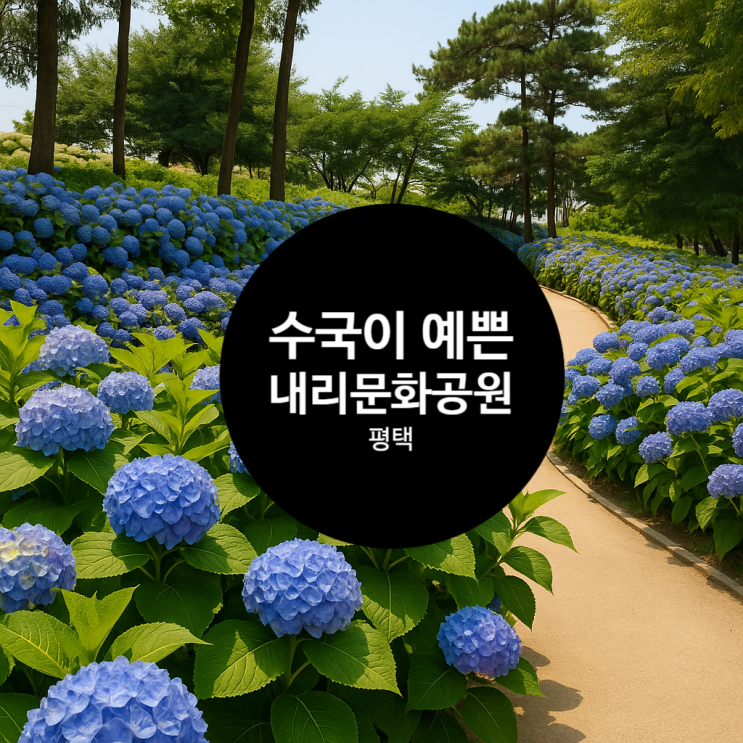 수국 피는 평택 내리문화공원 아이랑 산책+피크닉 완벽해! 수국 피는 평택 내리문화공원 아이랑 산책+피크닉 완벽해!