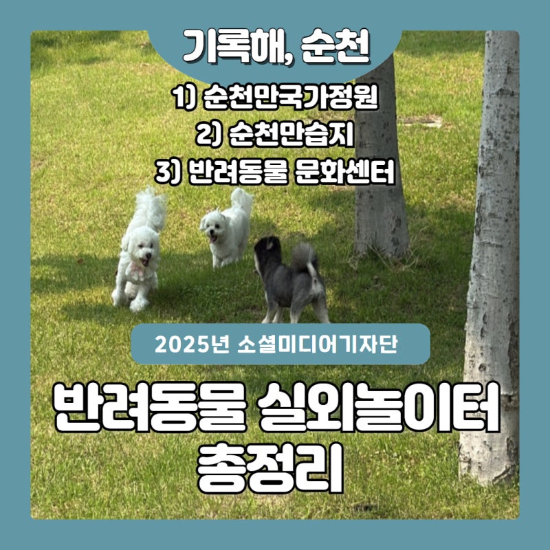 순천시 반려동물 실외놀이터 세 곳 총정리 (+무료 돌봄서비스)