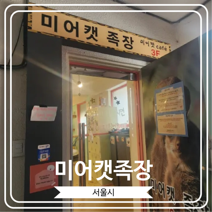  [미어캣족장] 다양한 동물 친구들과 행복한 시간을 보낼 수 있는 이색 카페