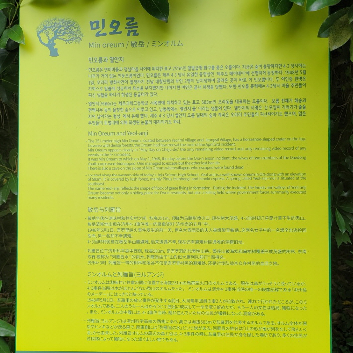  《제주오름》 오라동 민오름 제주시민들이 많이 찾는 제주 오름