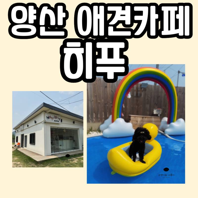 사진 4