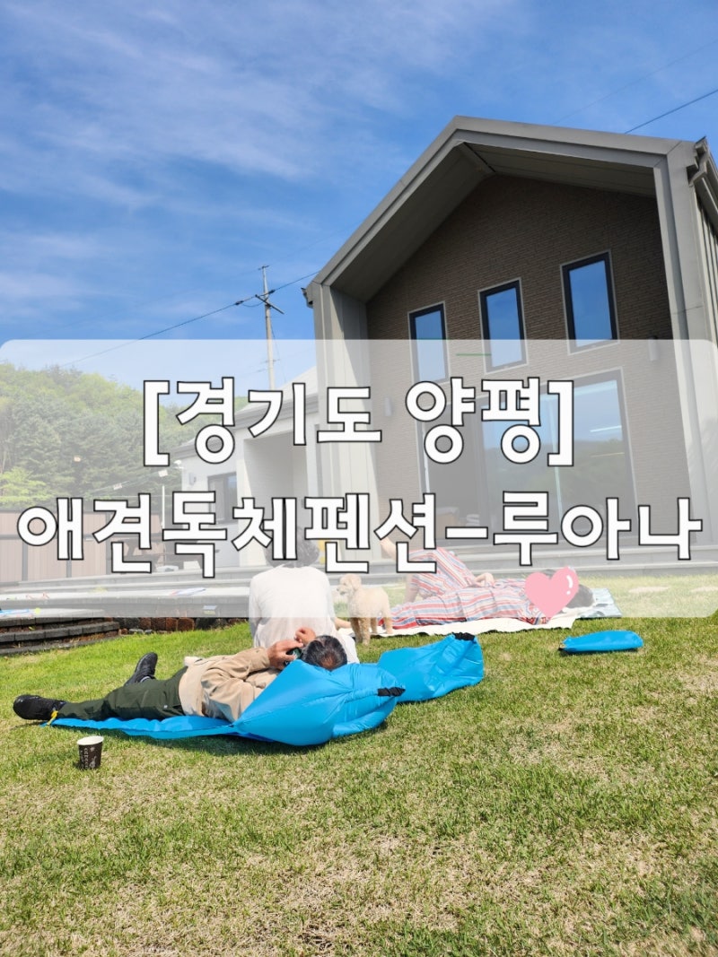 사진 4