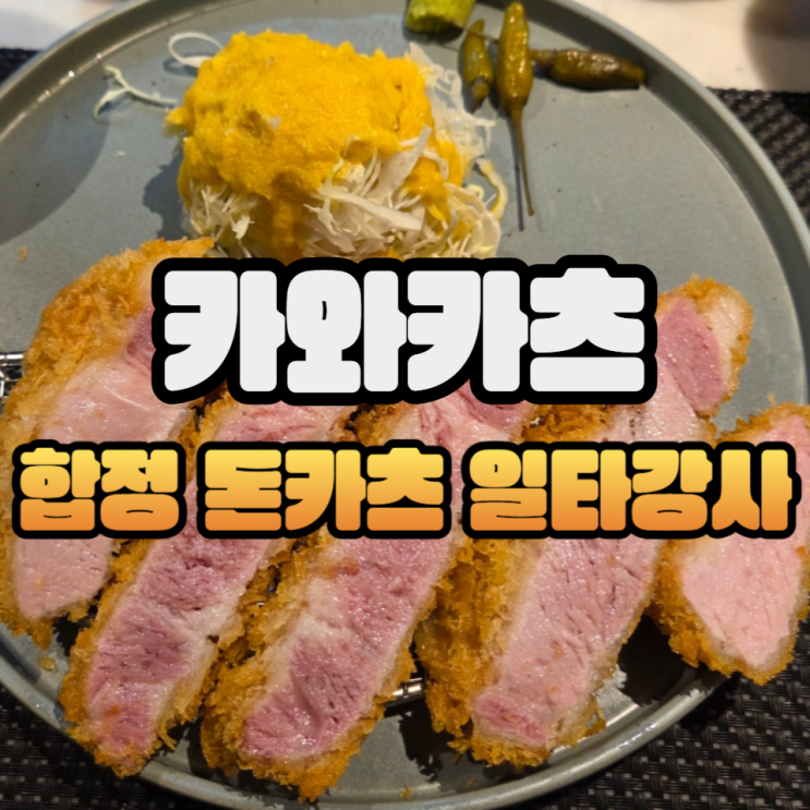 합정돈까스 카와카츠 합정점 특로스카츠, 히레(안심)카츠, 한입카레 먹고왔어요