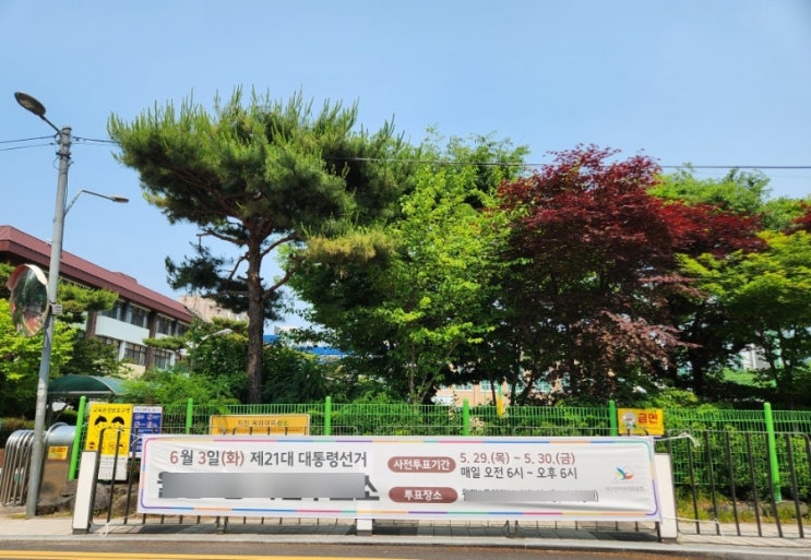 햇살좋은 오후, 생애 첫 사전투표했어요!