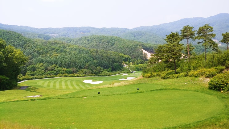 <b>KLPGA</b> 2025 SH수협은행... <b>박민지</b>프로 <b>우승</b>기원)