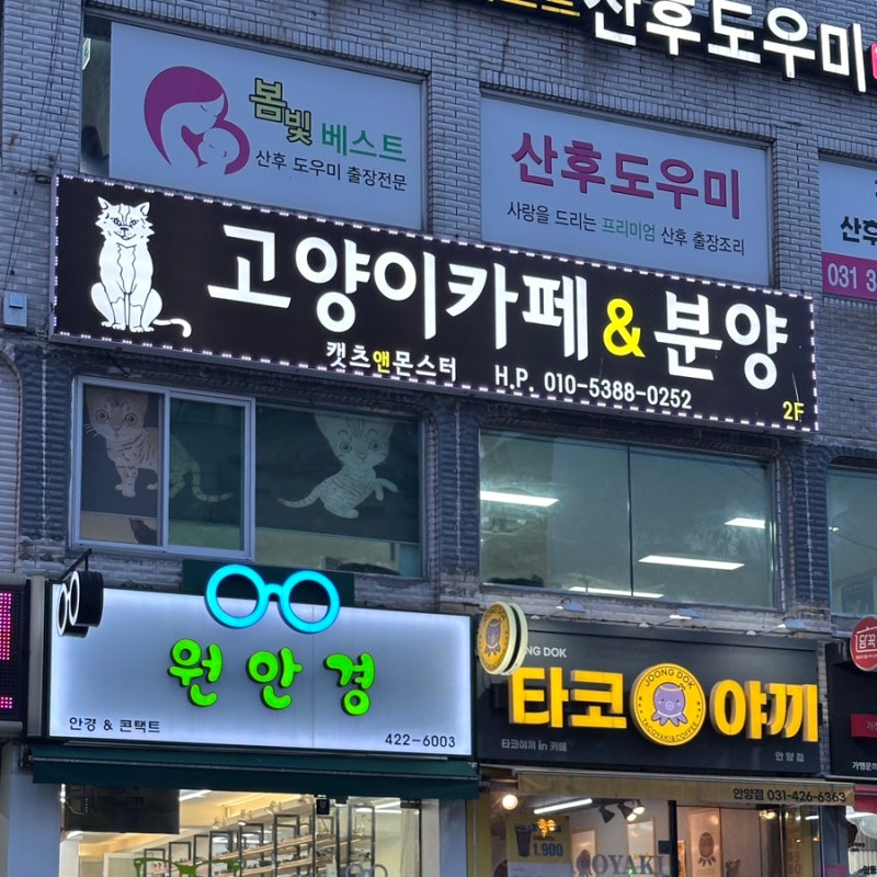 캣츠앤몬스터 고양이카페&분양