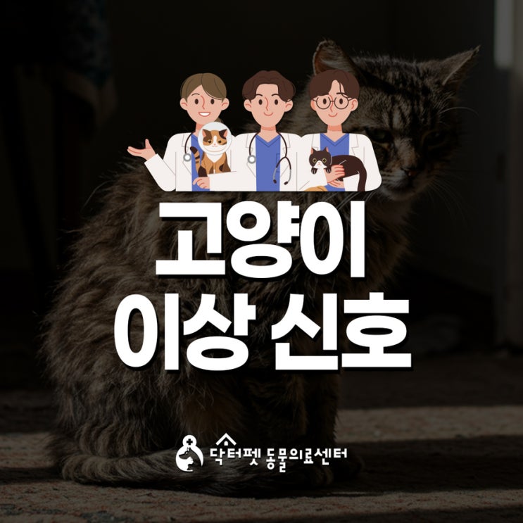  고양이가 이상해요! 이 증상 보이면 꼭 주의하세요 (부산 냉정역 동물병원)