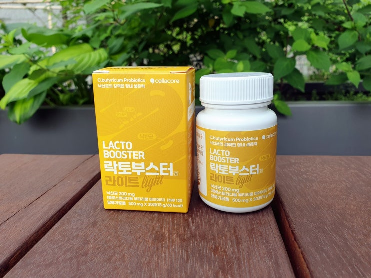  낙산균 추천 낙산균 유산균 락토부스터 라이트