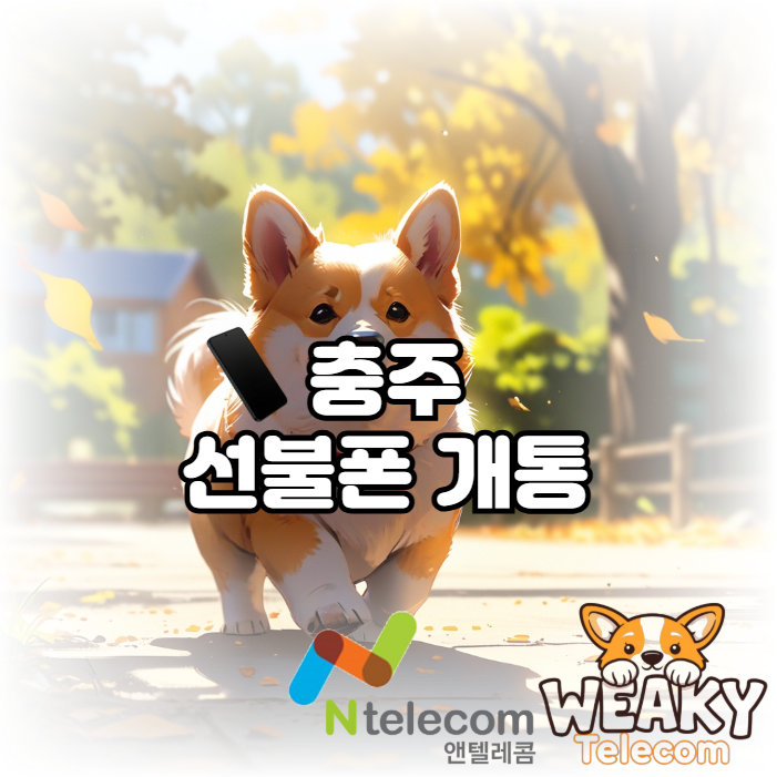  충주 선불폰 개통을 나에게 맞는 방법으로 진행하려면?