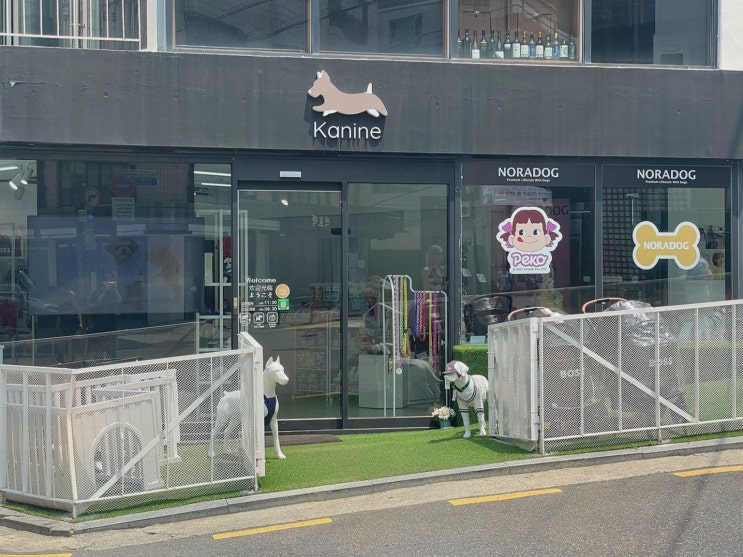  케나인, 강남 애견용품에서 특별한 경험을 누리세요