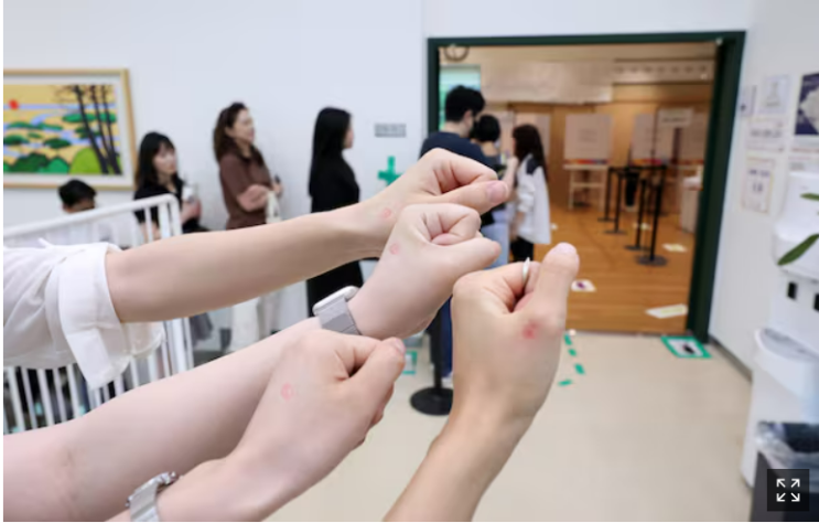 21대 대선 사전투표 현황 및 부실관리 논란 분석|이재명·김문수·이준석 후보 선거 전략 집중 해부 21대 대선 사전투표 현황 및 부실관리 논란 분석|이재명·김문수·이준석 후보 선거 전략 집중 해부