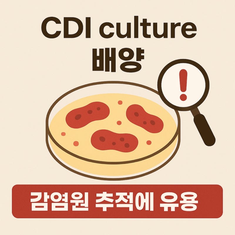 CDI(Clostridioides difficile infection)란? 의학용어, 증상, 진단, 검사, 격리, 간호 ...