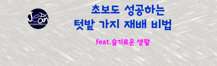  초보도 성공하는 텃밭 가지 재배 비법