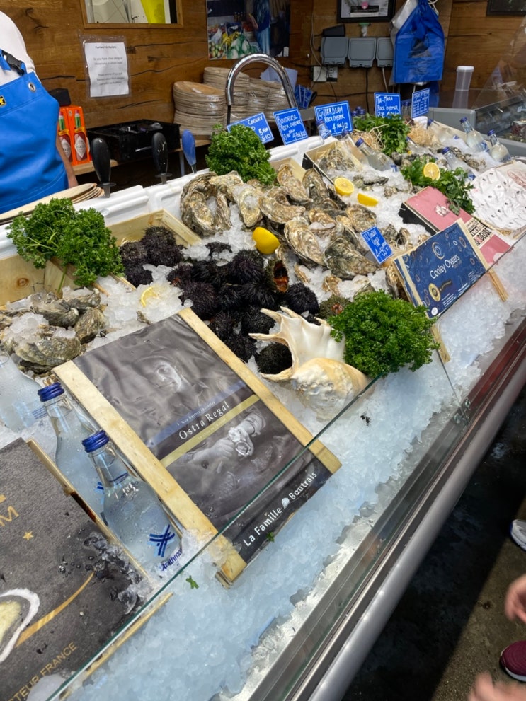  [영국 런던 여행 버러마켓] 빠에야, 굴(오이스터), 미트파이 : borough market