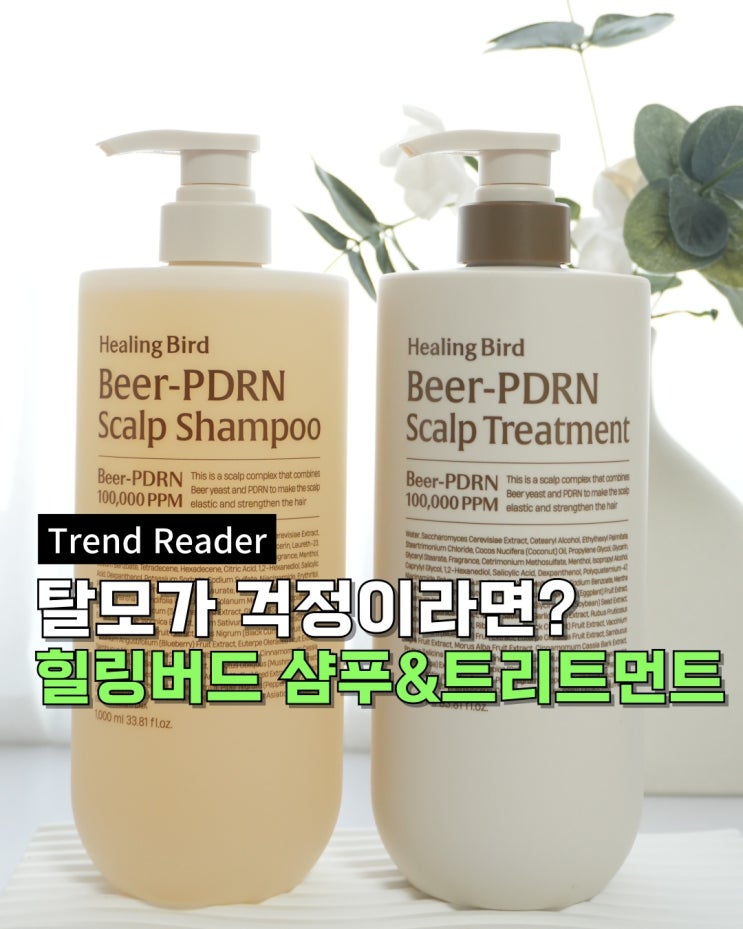  탈모샴푸추천템을 찾으신다면 힐링버드 탈모샴푸&두피트리트먼트