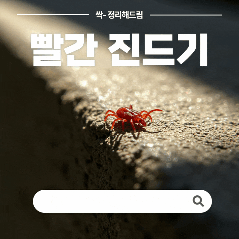 빨간 진드기 퇴치 없애는 방법