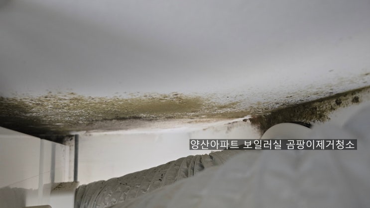  양산아파트 베란다 다용도실과 보일러실에 깊게 뭍었던  곰팡이제거청소