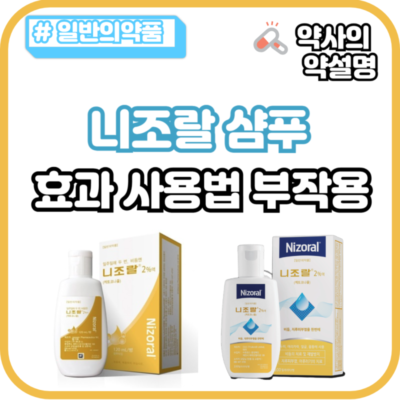 니조랄 샴푸 효과 사용법 부작용 약국 지루성두피염 비듬