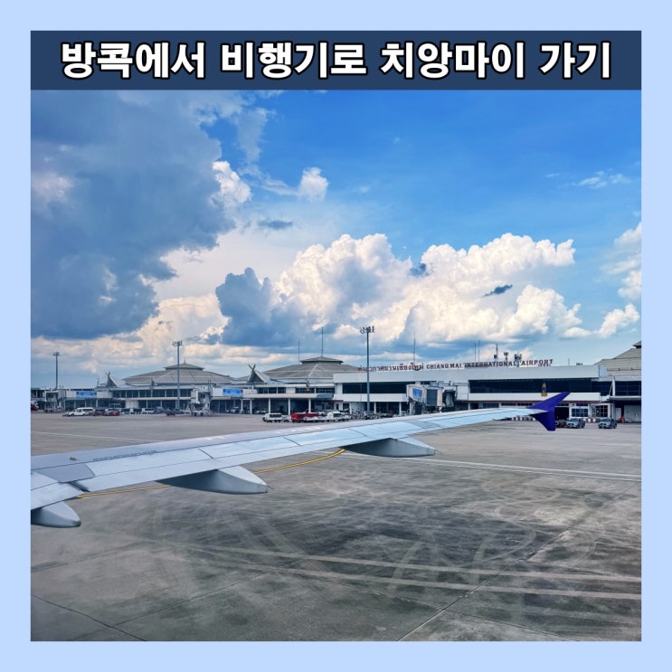  방콕에서 비행기로 치앙마이 가기 (타이 항공 탑승 후기)