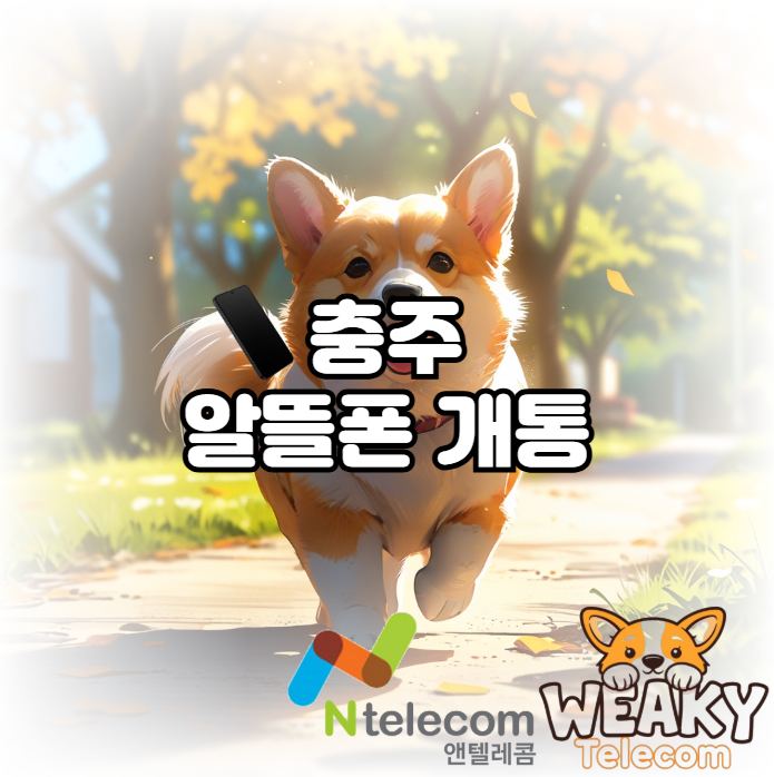  충주 알뜰폰 개통 유심만 있다면 집 밖에 안 나가도 가능합니다!