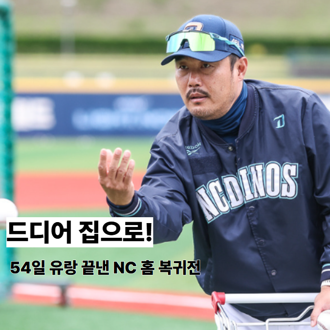 54일 유랑 끝낸 다이노스 vs <b>12연승</b> 기세 꺾인 <b>한화</b>