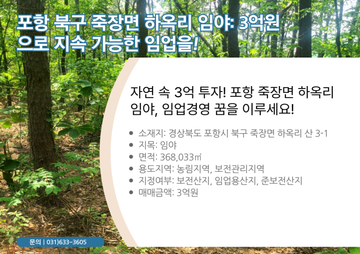  포항 북구 죽장면 하옥리 임야( 368,033): 자연을 품은 투자, 3억원으로 꿈을 심다! 
