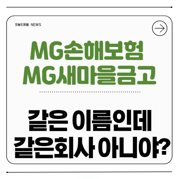 MG손해보험 와 MG새마을금고, 같은 이름인데 같은회사 아니야?