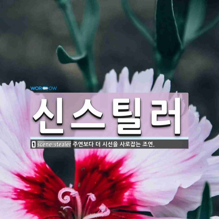 신스틸러[scene stealer]의 뜻과 최근사례