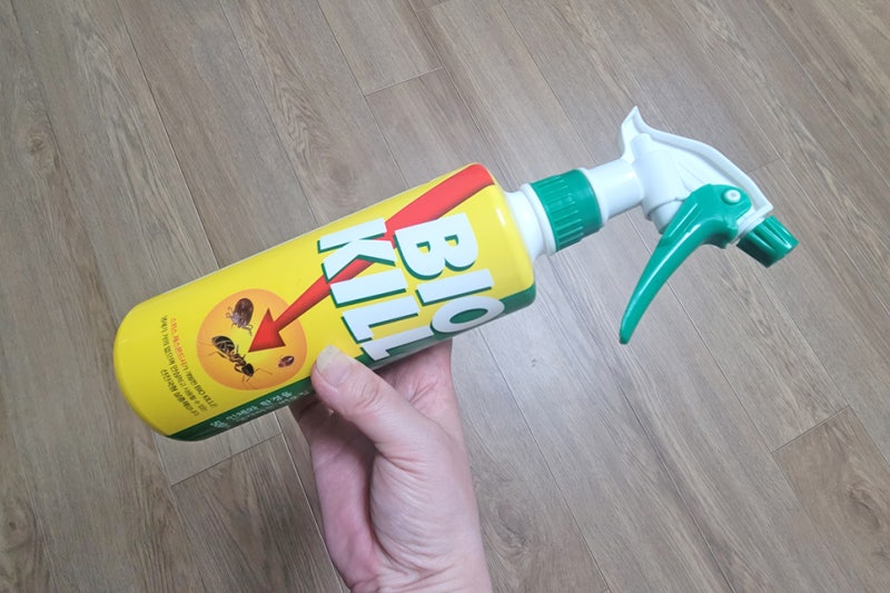 흰색 좀벌레 퇴치법 예방 방법