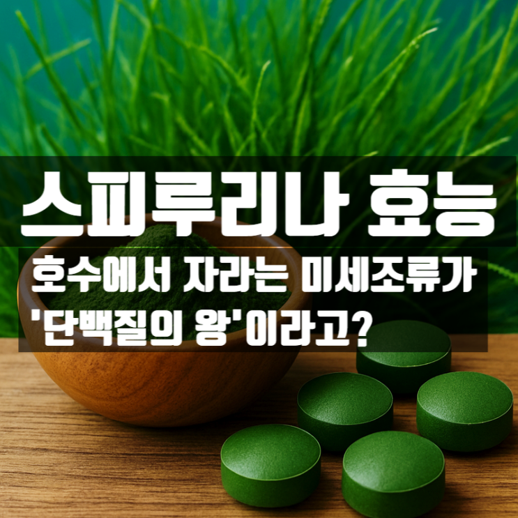  스피루리나 효능 성분 부작용 총정리 – 단백질이 풍부한 해독 슈퍼푸드