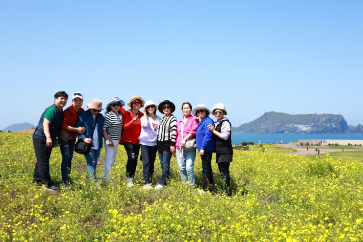  2박3일 대가족 국내여행은 비행기 타는 제주도 가족여행이죠