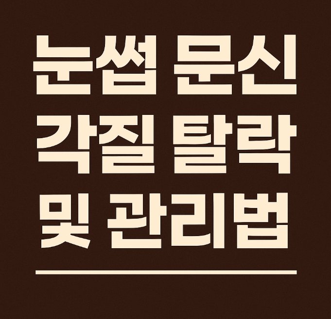  눈썹 문신 후 각질? 망치지 않으려면 꼭 알아야 할 관리법 총정리
