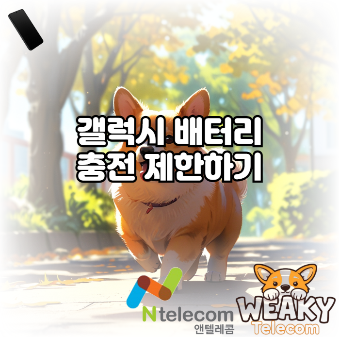  갤럭시 충전 제한 설정으로 배터리를 보호해 보자