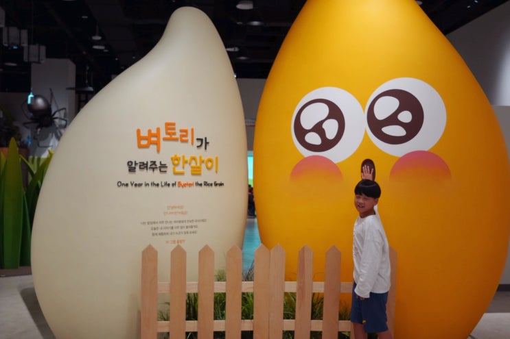  수원 국립농업박물관 어린이박물관 예약 주차, 수원 박물관 어린이체험