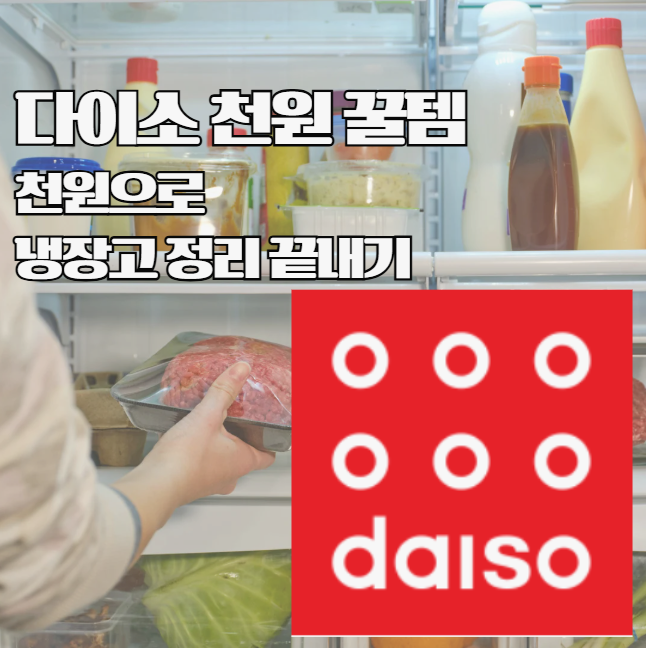  다이소 꿀템 추천! 주방 정리 필수템 실사용 후기