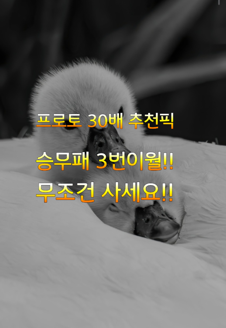 프로토승부식65회차 30배조합 축구승무패38회차 3번이월 꼭사세요
