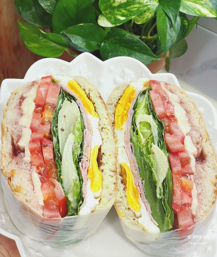  치아바타샌드위치 만들기 그릭요거트 샌드위치소스 레시피 브리치즈 로메인상추샌드위치