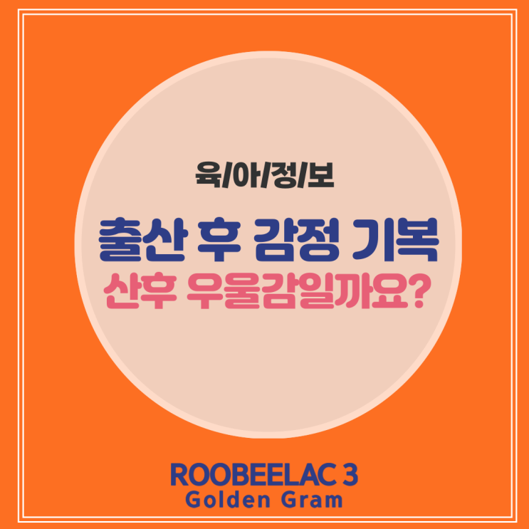  산후우울감 초기 신호와 예방하는 방법by. 덴마크 슈퍼 프리미엄 분유 루비락 3