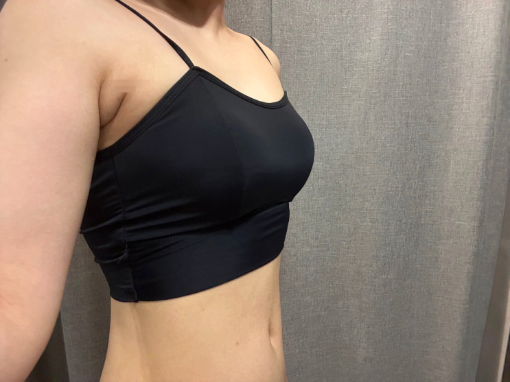  삭센다 주사 시간 한달 가격 내장지방 빼는법 (-10kg)
