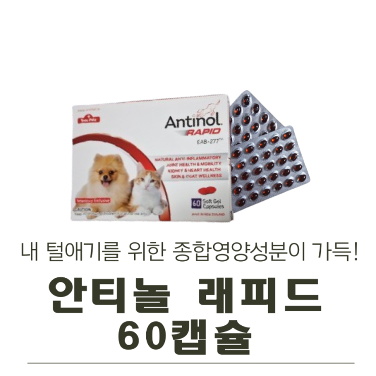  내 털애기를 위한 영양가득한 안티놀 래피드 60캡슐