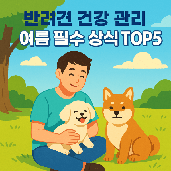 여름철 반려견 건강관리 완벽 가이드! 우리 강아지 지키는 필수 상식 TOP5