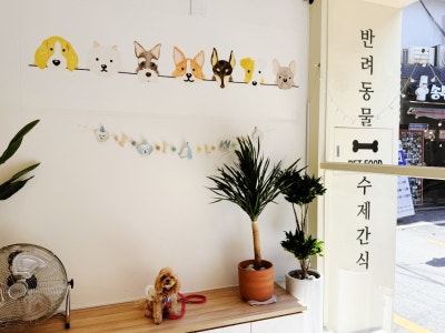 사진 5