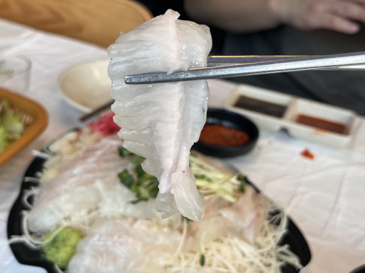  노량진 수산데이_신안군향우회에서 만난 인생 광어맛집