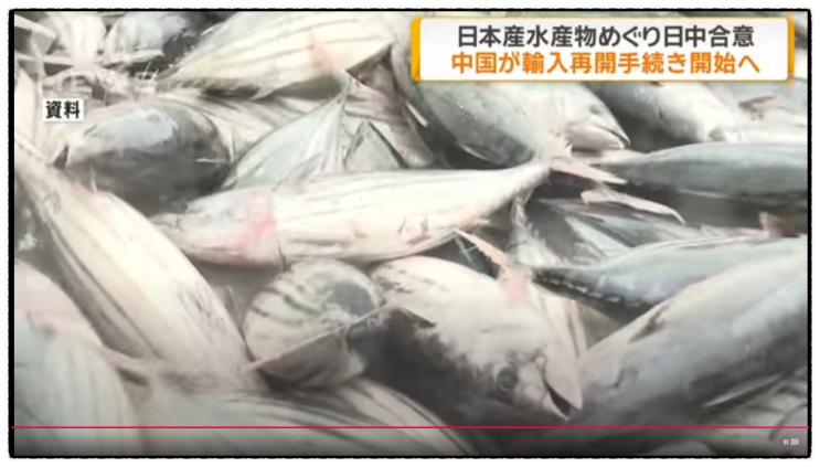  일본어뉴스 582 일본산 수산물 중국이 수입 재개 절차에 일중 합의 日本産水産物 中国が輸入再開手続きへ 日中合意(ANN250530)