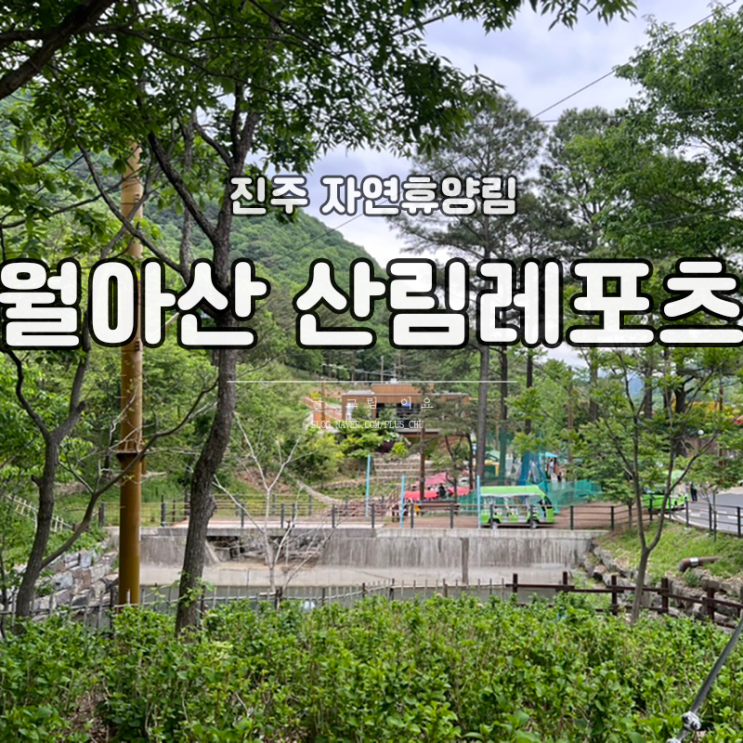 진주 월아산 자연휴양림 산림레포츠단지 짚라인 네트어드벤처