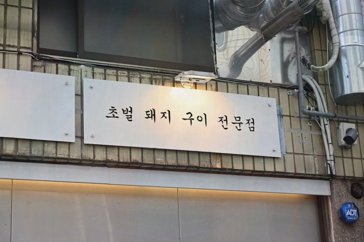  도화식당에서 즐기는 특별한 식사! 서면 고기집 추천합니다!