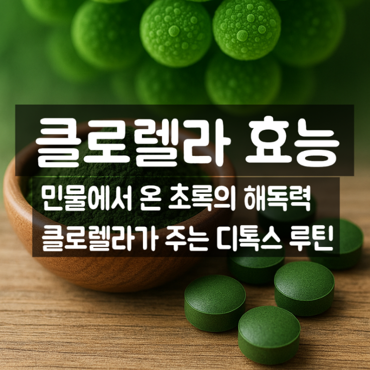  클로렐라 효능 성분 부작용 총정리 – 디톡스에 해독 효과까지 갖춘 녹조류
