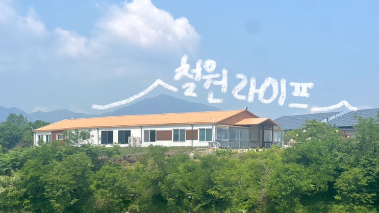  여름냄새가 스멀스멀 나는 5월의 끝