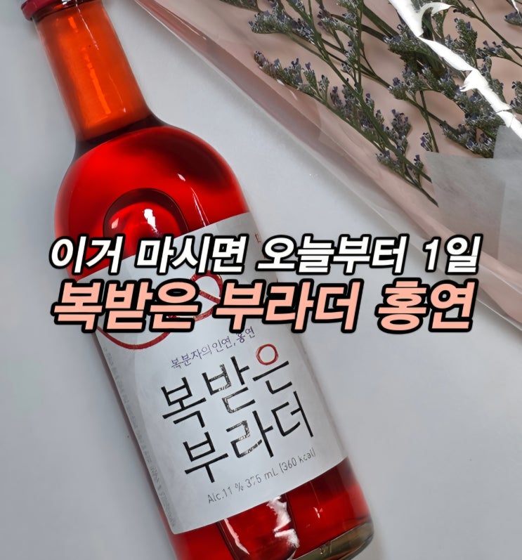 도수낮은술 맛있는술 편의점술 추천 보해양조 복받은부라더 홍연